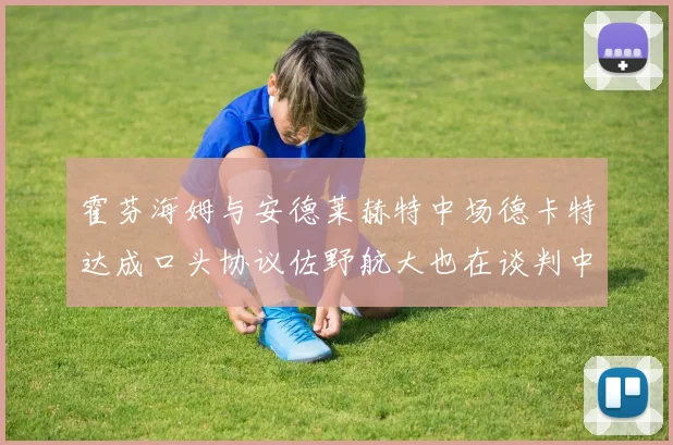霍芬海姆与安德莱赫特中场德卡特达成口头协议佐野航大也在谈判中
